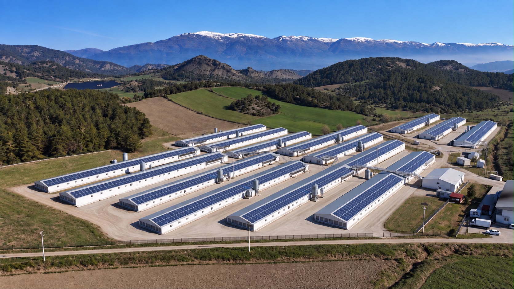 Breeder Production Process