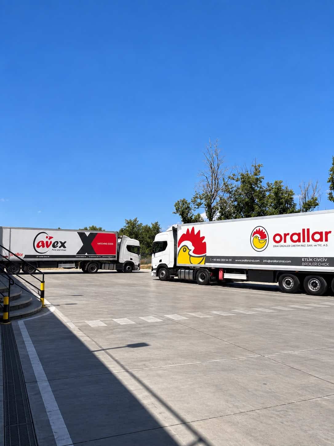 Oralyum logistics operations