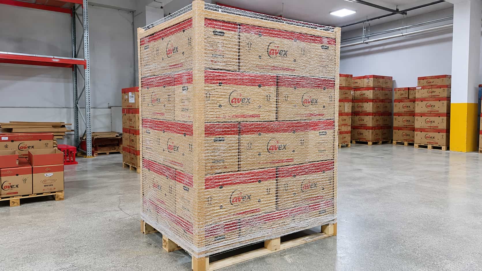 Oralyum facility